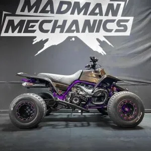 Carbon Fiber Purple Yamaha Banshee 350 for Sale