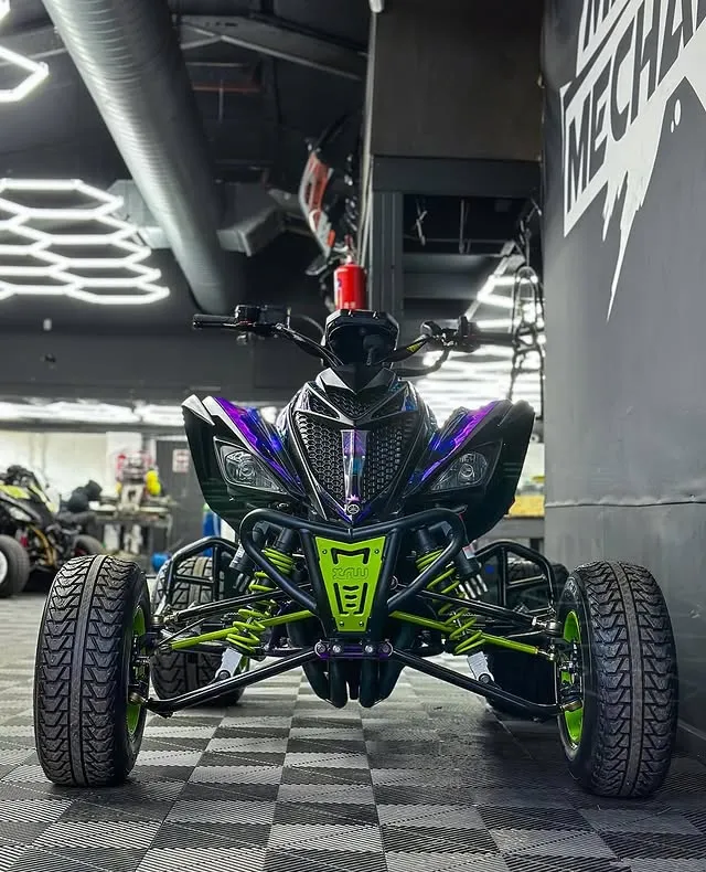Custom Raptor 700R - Image 2