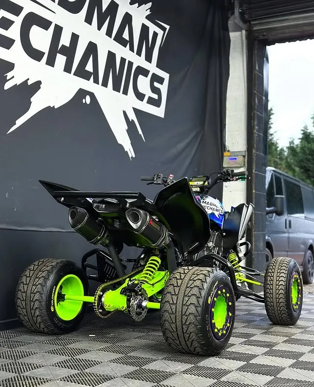 Custom Raptor 700R - Image 3