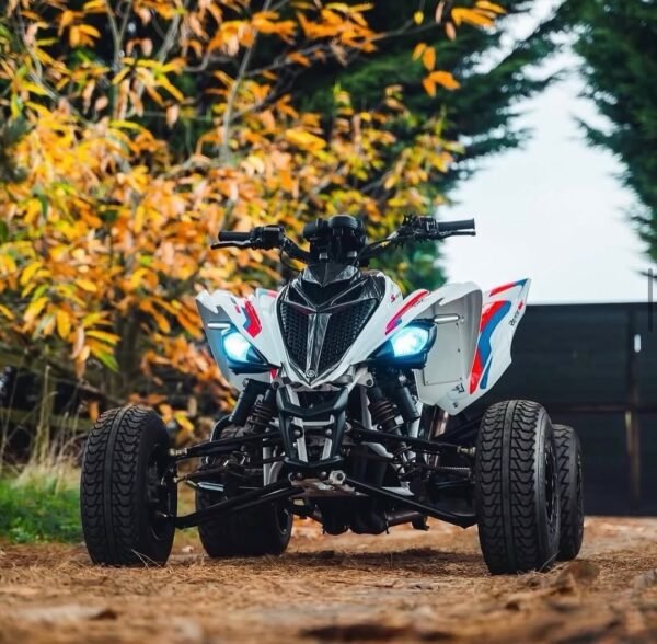 Shop Mad Man Mechanics BMW S1000R custom quads